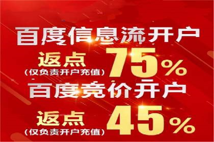 某某SEM团队成功提升网站流量与转化率的实战经验